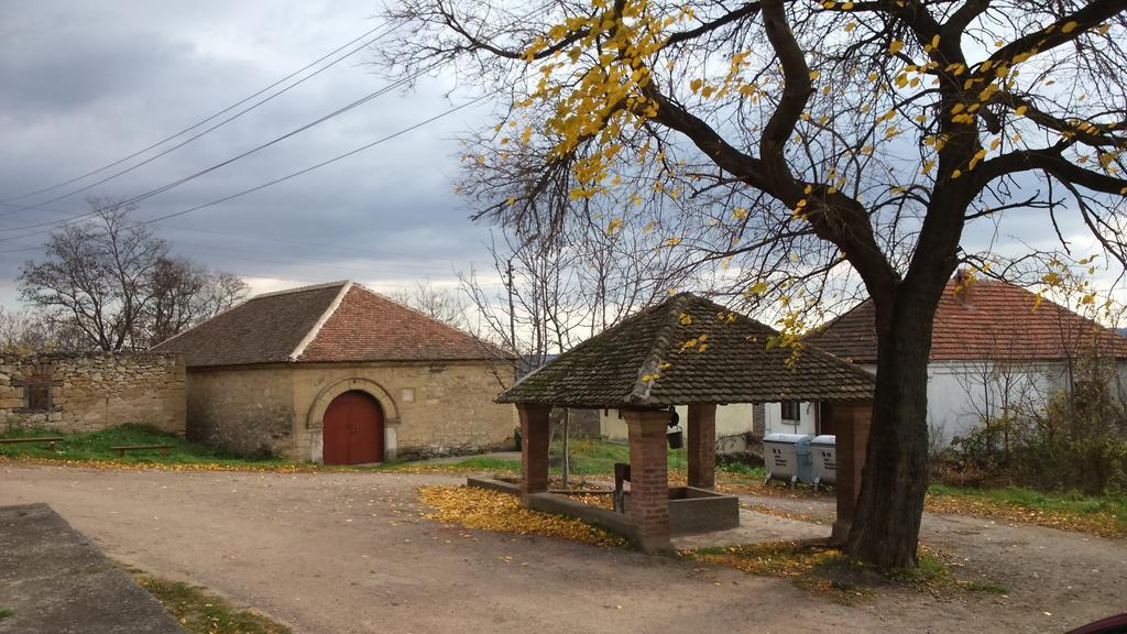 Country House Dunjin Konak Rogljevo Exterior photo