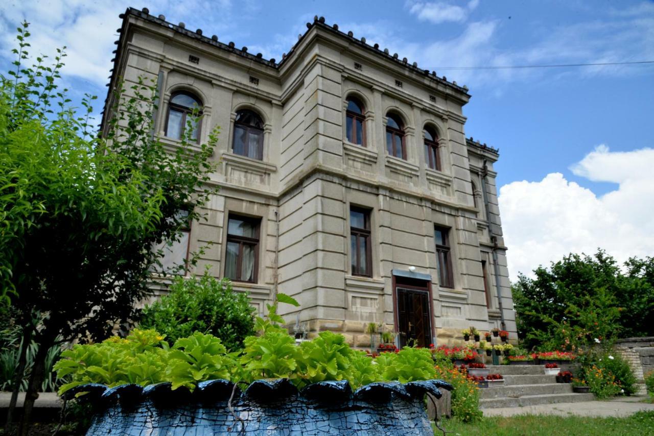 Country House Dunjin Konak Rogljevo Exterior photo